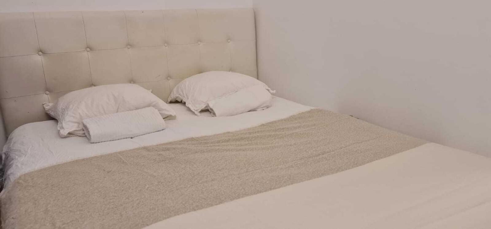 סן-אטיין Appartement De La Richelandiere מראה חיצוני תמונה